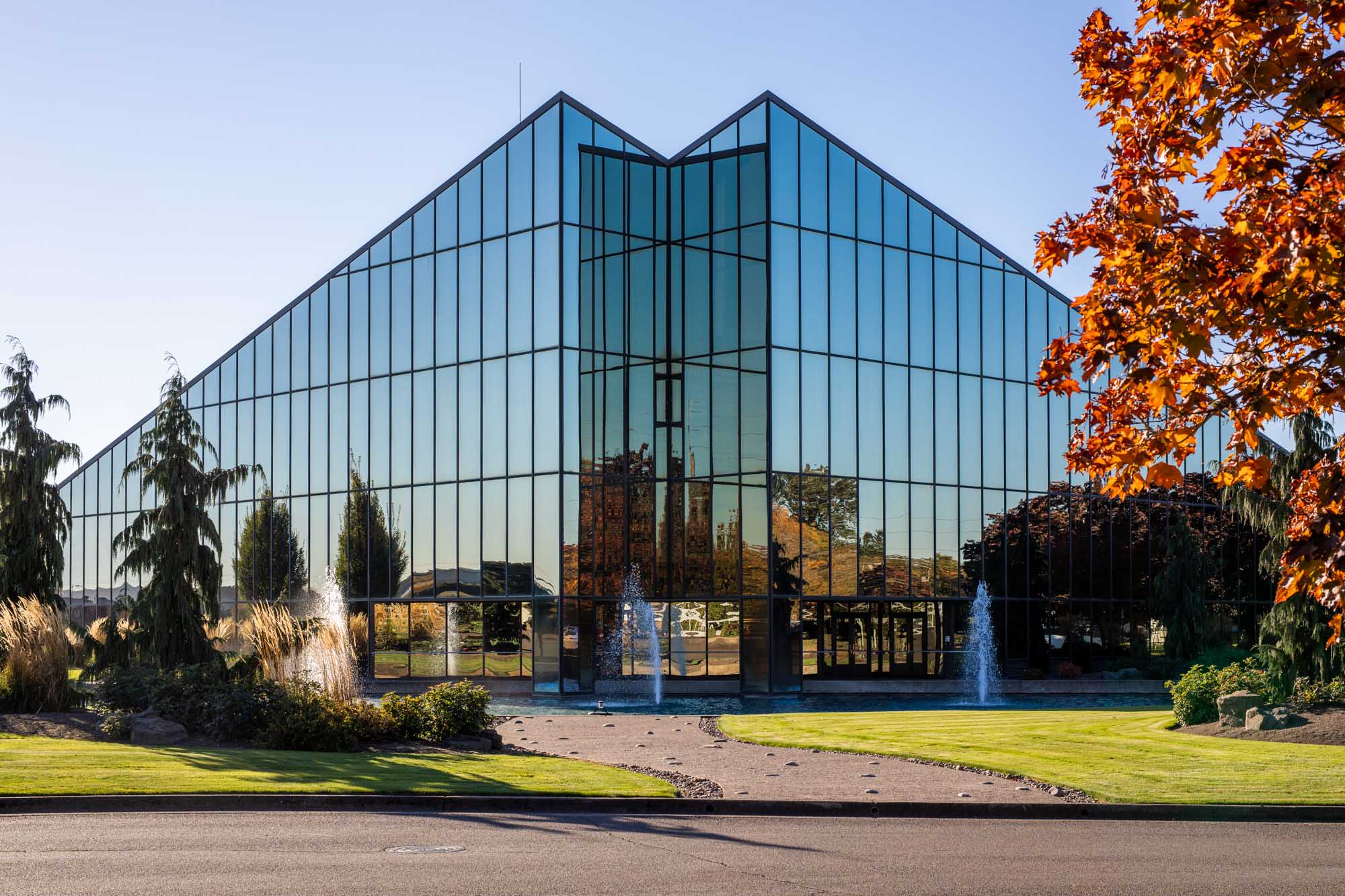 Oregon Freeze Dry Randy Bascue UX Designer